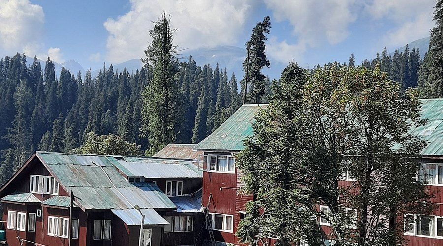 Gulmarg Meadows